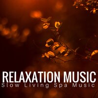 Mindfulness Meditation - Sean Clear