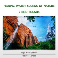 Healing Water Sounds - Sound Effects Zone