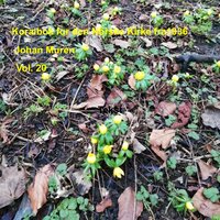 Underfulle konge - Johan Muren