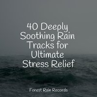 Gentle Campfire - Nature and Rain & Ambient Rain & Chillout Lounge