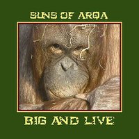 Fling Away Your Guns - Suns Of Arqa