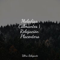 Guijarro Afinado - Musica relajante & El hada de las canciones de cuna & Piano Relajante