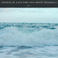 Agua Constante - Sonidos De Agua & REIKI & Calmar la Ansiedad
