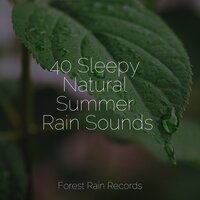 Soft Rain & Gentle Thunder - Zen Music Garden & Kinderlieder-Superstar & The Rain Library