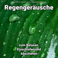 Regentropfen für innere Ruhe - Regengeräusche zum Einschlafen Lars Honn & Regengeräusche & Naturgeräusche
