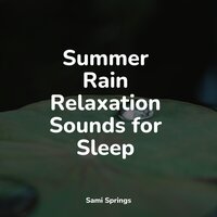 Splish Splash Rains - Rain Sounds For Sleep & Rain Sounds & White Noise & Ambient Nature Project