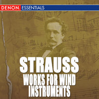 Frohliche Werkstatt (Sonatina No. 2) in E-Flat Major, AV 143: IV. Menuett- un poco vivace - Gerard Oskamp & Norwegian Winds