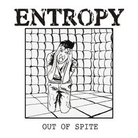 Bird Law - Entropy