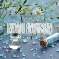 Forest Rainfall - Relaxing Spa Sounds