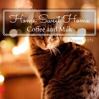 Dining with the Stars - Piano Cats