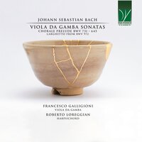 Sonata in D Major, BWV 1028: III. Andante - Francesco Galligioni & Roberto Loreggian & Johann Sebastian Bach