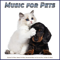 Music For Cats - Music For Pets & Cat Music & Music For Cats