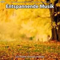 Entspannende Musik pt. 6 - Entspannungsmusik zum Einschlafen und Relaxen & Schlafmusik & Entspannungsmusik