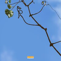 Journal Entry (Feb 4, 2020) - Eugenius