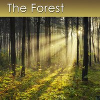 The Forest - Dr. Harry Henshaw