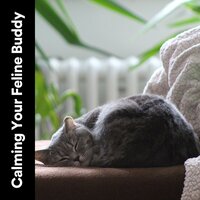 Relaxing Times, Pt. 9 - Music For Cats