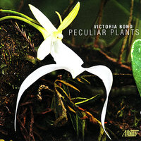 Peculiar Plants: Ghost Orchid - Kenneth Cooper