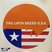 Mi Soldadita - Latin Breed