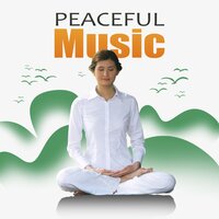 Nature Rain - Yoga Music Followers