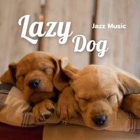 Doggy Massage - Relaxing Music for Dogs & Calming Dog Jazz & Dogs Jazz