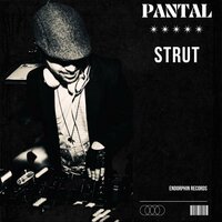 Midnight Love - Pantal