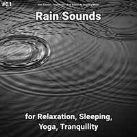 Curative Rain Sounds - Rain Sounds & Yoga Music & Rain Sounds by Angelika Whitta