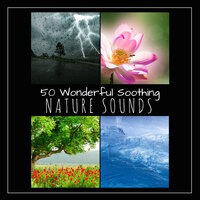 Himalayan Chakra Healing - Nature Caldwell