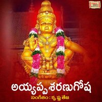 Sarileru Neeku - Parthasaradhi