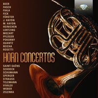 Concerto in E-Flat Major: I. Allegro assai - Cappella Istropolitana & Frantisek Vajnar & Zdenek Tyslar & Bedrich Tyslar