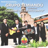 Bañado Norte - Grupo Temiandú