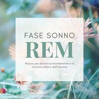 Pioggia Che Cade - Dormire Bene