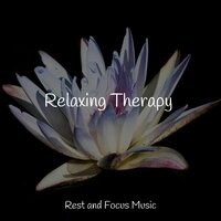On a Warm Shoulder - Bath Spa Relaxing Music Zone & Sleep Songs 101 & Guided Meditation