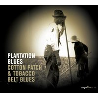 The Moaning Blues - John Fox