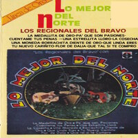 Tu Nuevo Carinito - Los Regionales Del Bravo