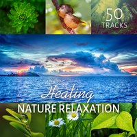 Balancing Nature - Nature Sounds Universe