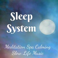 Spiritual Healing - Amelia System
