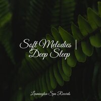 Sands of Time - Musica Para Dormir y Sonidos de la Naturaleza & ZEN & Binaural Beats Brain Waves Isochronic Tones Brain Wave Entertainment