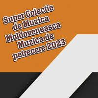 muzica moldoveneasca 2023 vesela - Muzica Moldoveneasca