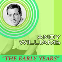 I Like Your Kind of Love - Andy Williams