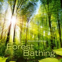 Forest Meditation, Pt. 3 - Malcolm Southbridge