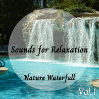 Waterfall Sound for Sleep - Spa Music Station & Concentration Focus & Calming for Dogs