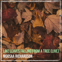 Like Leaves Falling from a Tree - Moosaa Richardson