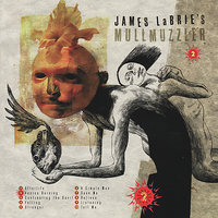 Afterlife - James LaBrie & Mike Mangini & Mike Keneally & Matt Guillory & Bryan Beller & Mike Borkosky