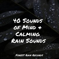 Crashing Waves - Nature Sounds for Concentration & Yoga Music & Academia de Música para Massagem e Relaxamento
