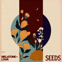 Seeds - Melatone & Louk