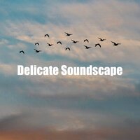 Calmness of Nature Song - Calm Singing Birds Zone