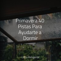Maravillas Del Oasis - Master Meditação & Piano para Relajarse & Musica Para Dormir Bebes
