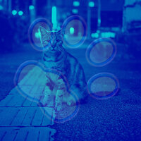 Tasteful Moods for Kitten Anxieties - Cat Music Hour