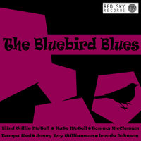 Lawyer Clark Blues - Sleepy John Estes & Sonny Bond