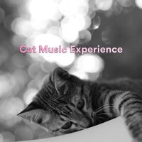 Unwind - Music For Cats & Cat Music & Calm Music for Cats